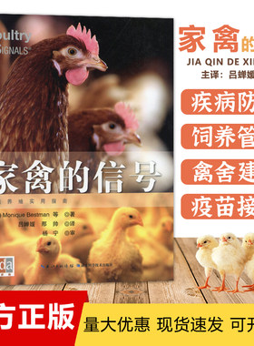 家禽信号荷兰引进简体中文版养鸡