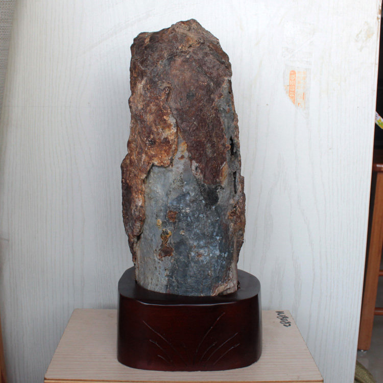 水玉冰魄天然树化石摆件 印尼木化石原石摆饰树化玉硅化木炭化