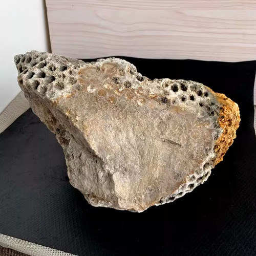 天然珊瑚玉原石毛料摆件