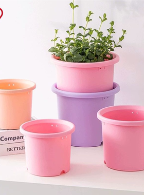 爱丽思deepot月季绣球蔷薇专用盆加厚树脂塑料控根爱丽丝透气花盆