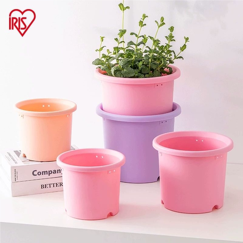 爱丽思deepot彩色花盆