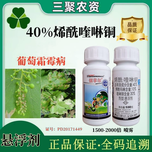 钮菲尔40%烯酰吗啉喹啉铜烯酰喹啉铜悬浮剂霜霉病葡萄农药杀菌剂