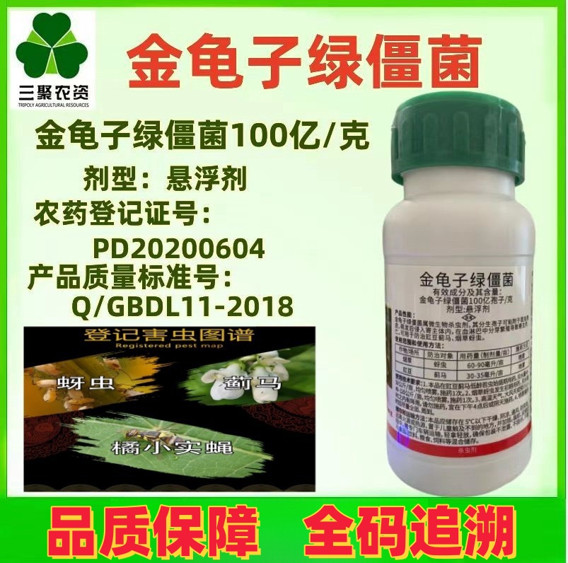 菌豇豆蓟马桃树橘小实蝇