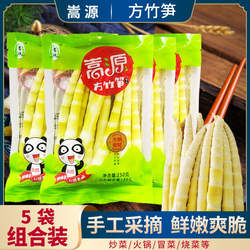 新鲜竹笋笋尖野山笋云南昭通彝良天然脆嫩笋子方竹笋小笋鲜嫩笋
