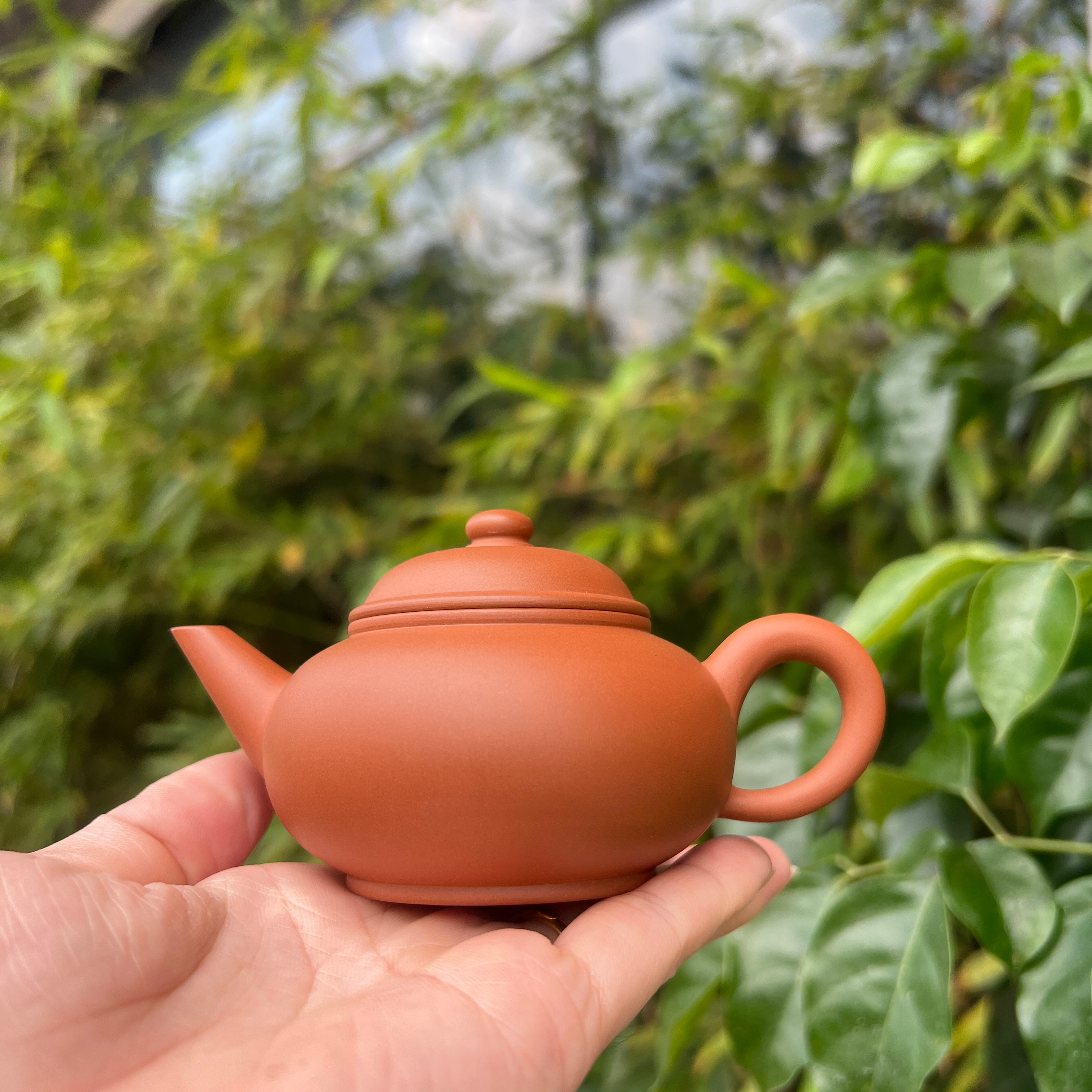 章永顺 潮州手拉壶老泥鸡蛋黄 暮古水平壶 单丛工夫茶小号朱泥壶