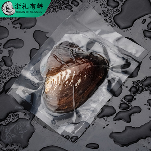 河蚌盲盒易拉罐头天然小珍珠蚌活蚌自己开一蚌一珠单珠蚌壳项链坠