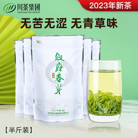 叙府春芽春茶茶叶绿茶新茶四川特产高山云雾日照明前茶特级250g