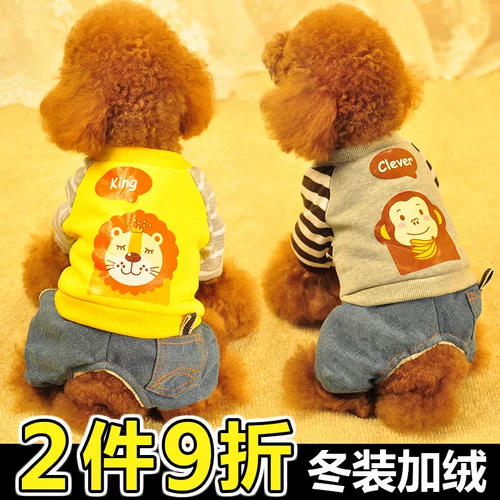 Собачья одежда весенний костюм плюшевый щенок Bie Golden Hair щенки домашние животные, два фута четырехфут, VIP -свитер, осень и зима