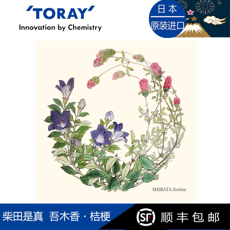 Toraysee日本进口东丽眼镜布柴田是真桔梗相机镜头擦镜超细纤维镜图片