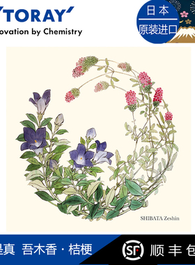 Toraysee日本进口东丽眼镜布柴田是真桔梗相机镜头擦镜超细纤维镜