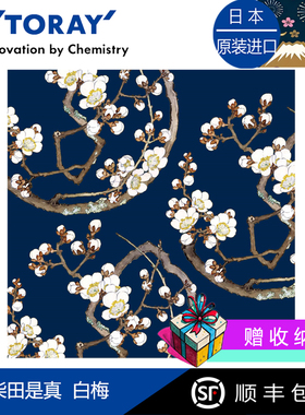 Toraysee日本进口东丽眼镜布柴田是真白梅相机镜头擦镜超细纤维镜