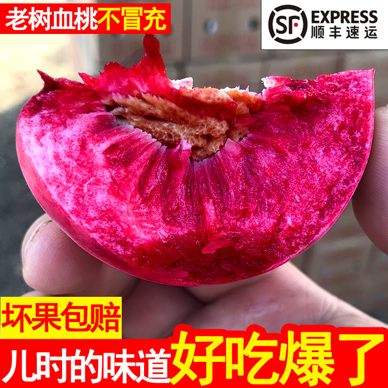 紫肉中华血桃5斤新鲜现摘当季红心朱砂红血桃子血布袋水蜜桃10