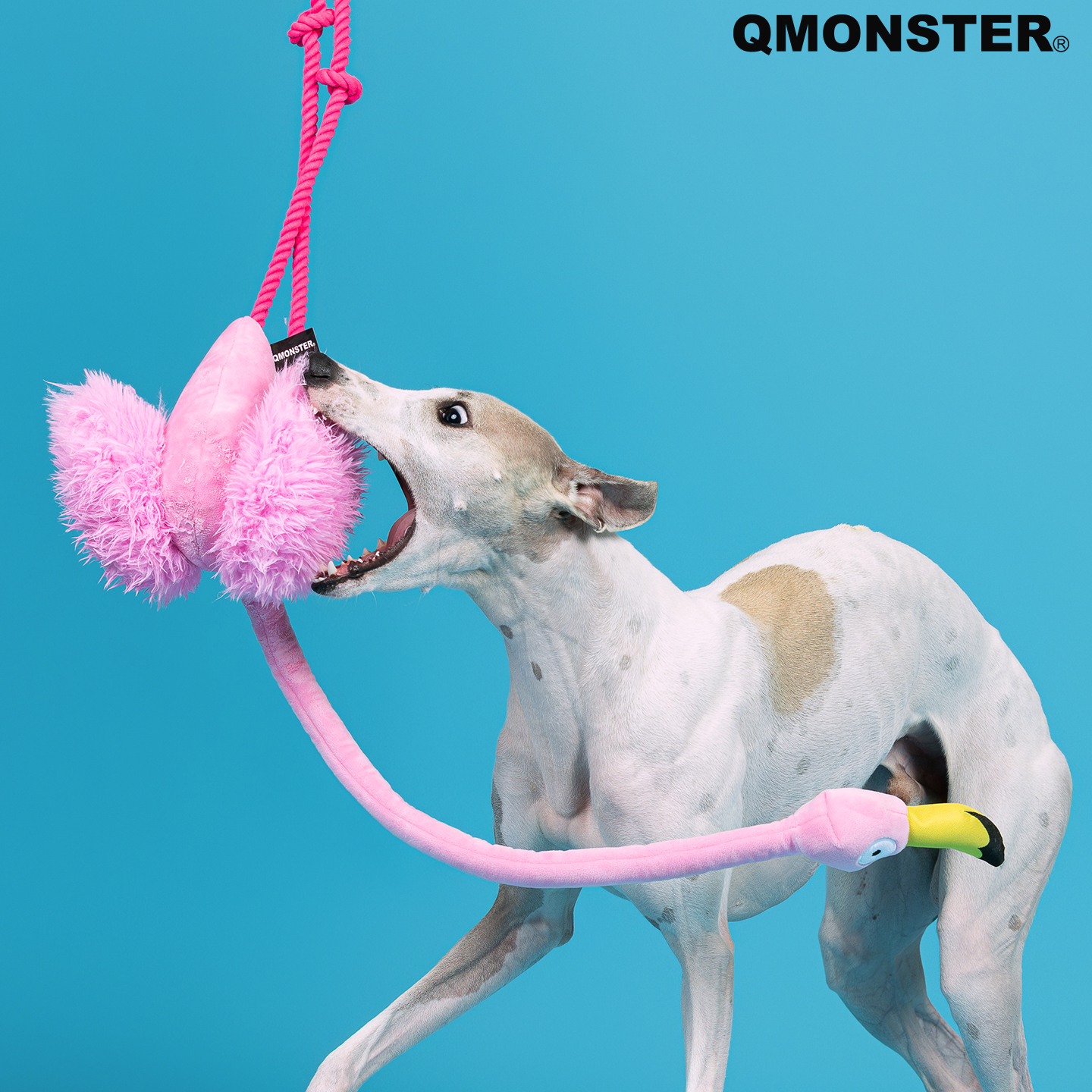 QMONSTER火烈鸟长脖子宠物狗狗毛绒发声耐咬藏食玩具拔河大型犬