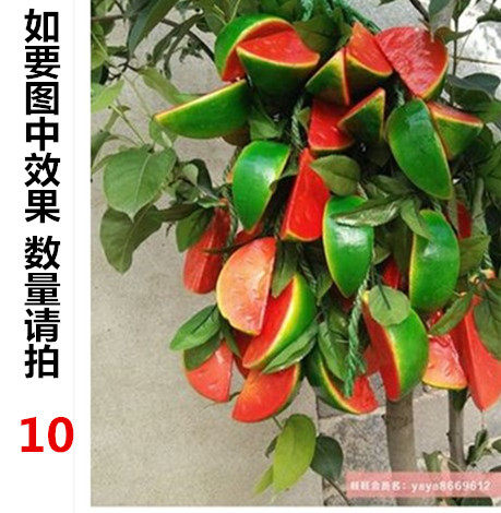 仿真西瓜串假水果切片模型蔬菜串农家乐饭店装饰品挂件幼儿园玩具在类目 家居饰品, 花瓶/花器/仿真花/仿真饰品, 仿真水果中 - 来自Buy2taobao.com提供专业的淘宝代购服务