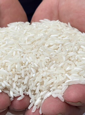 云南腾冲大米新鲜大米 自家种吃的大米软米稻谷 500克 1斤