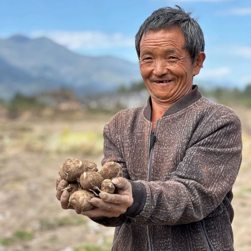 云南牛奶小芋头9斤芋艿芋仔小芋头仔新鲜蔬菜应当季小香芋毛芋头,水产肉类/新鲜蔬果/熟食,芋头,淘宝优惠券,粉丝福利购,淘宝优惠卷