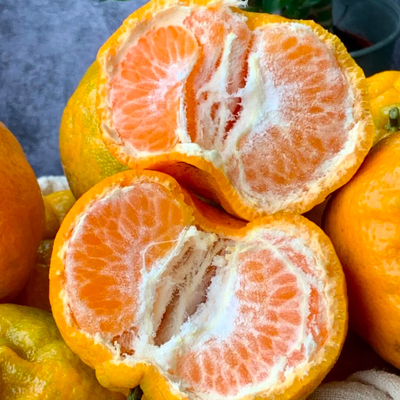 云南高山椪柑芦柑新鲜柑橘桔子丑桔子碰柑应当季孕妇水果现摘发货