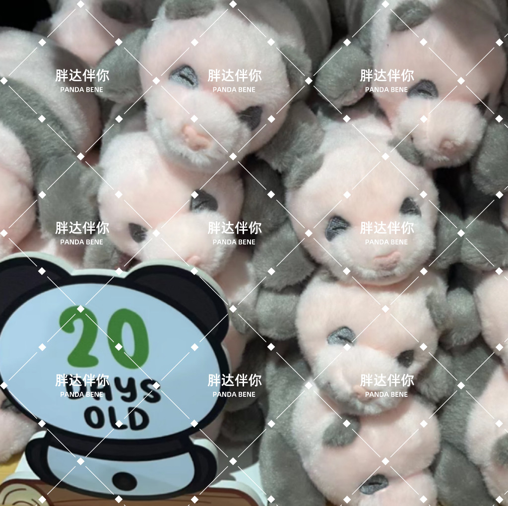 现货福宝20天公仔福宝玩偶爱宝乐园熊猫宝宝周边福宝周边福宝玩偶