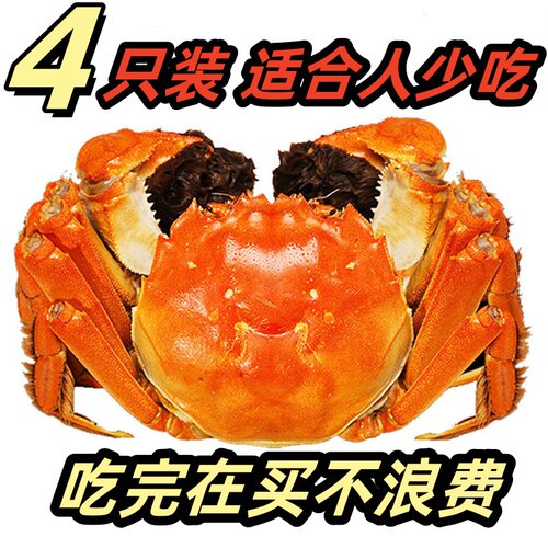 全母现货顺丰包邮大闸蟹螃蟹鲜活