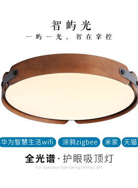 支持华为鸿蒙HILink智能
