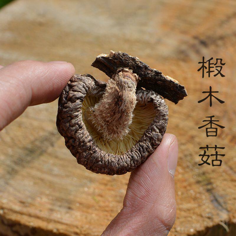 野生椴木香菇干货肉厚香醇青川特产椴木香菇花菇纯天然农家货蘑菇在类目 粮油米面/南北干货/调味品, 南北干货/肉类干货, 干货/土特产, 香菇类中 - 来自Buy2taobao.com提供专业的淘宝代购服务