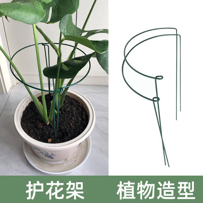 铁艺花架聚叶护叶架半圆植物支架