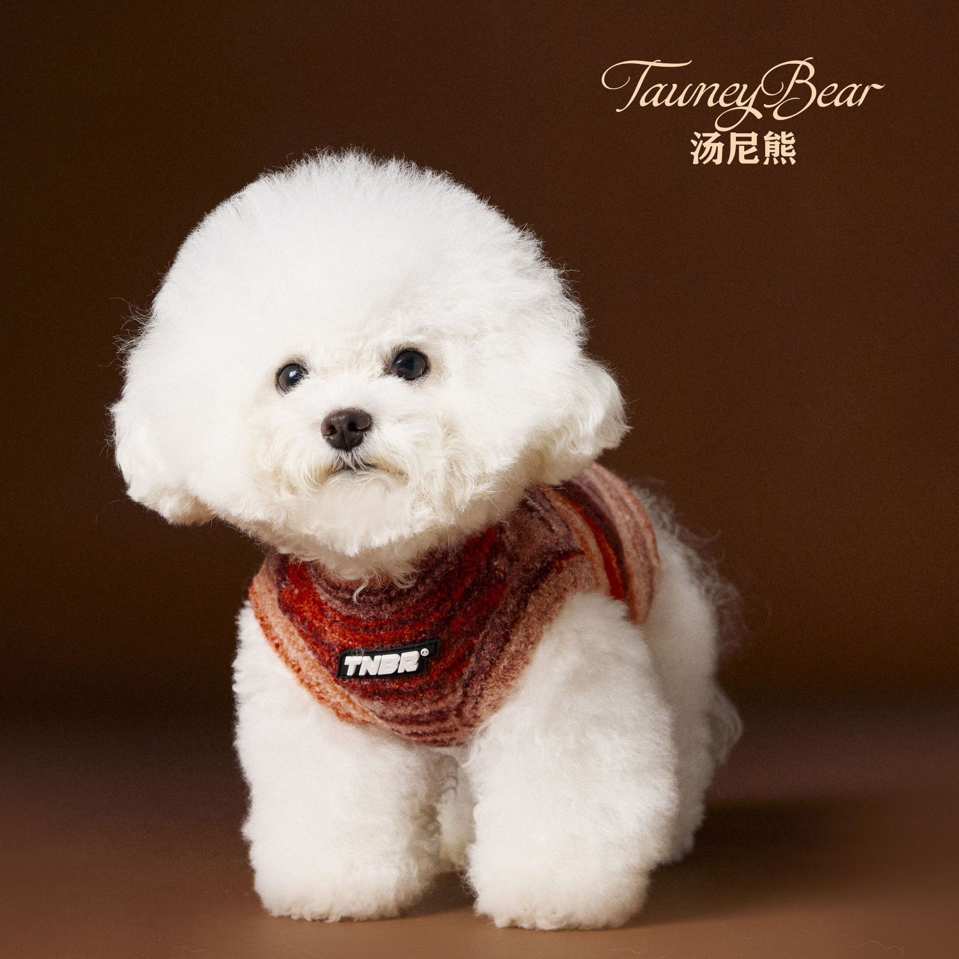 汤尼熊狗狗衣服秋装新款泰迪雪纳瑞比熊彩虹杂色条纹无袖毛衣背心