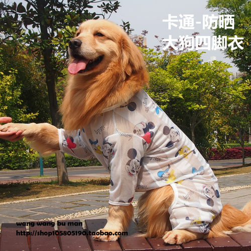 大狗狗服装休闲金毛防晒边牧萨摩