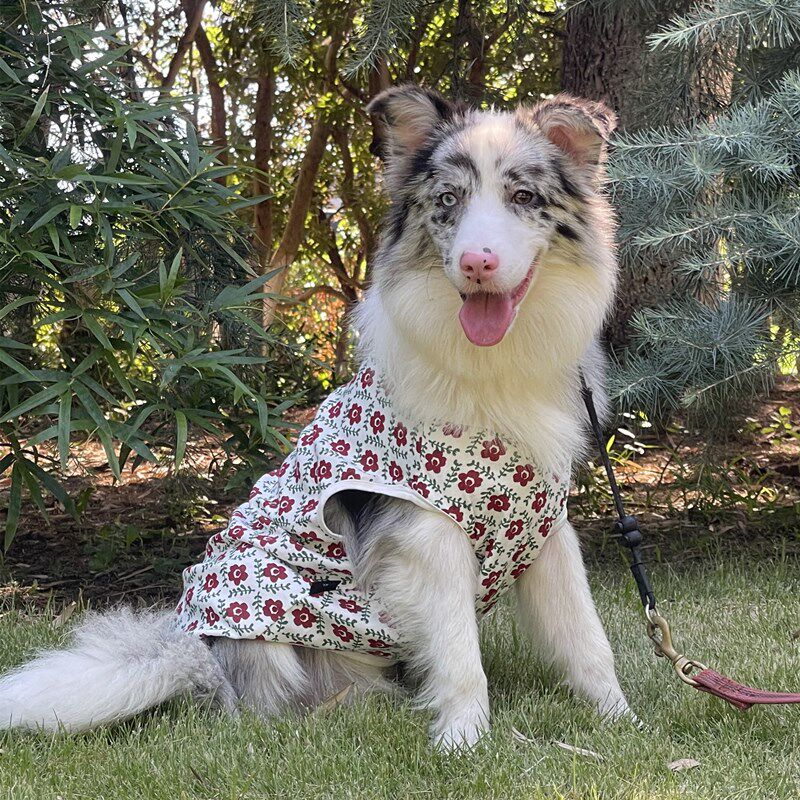 狗狗背心春夏季花朵防晒背心