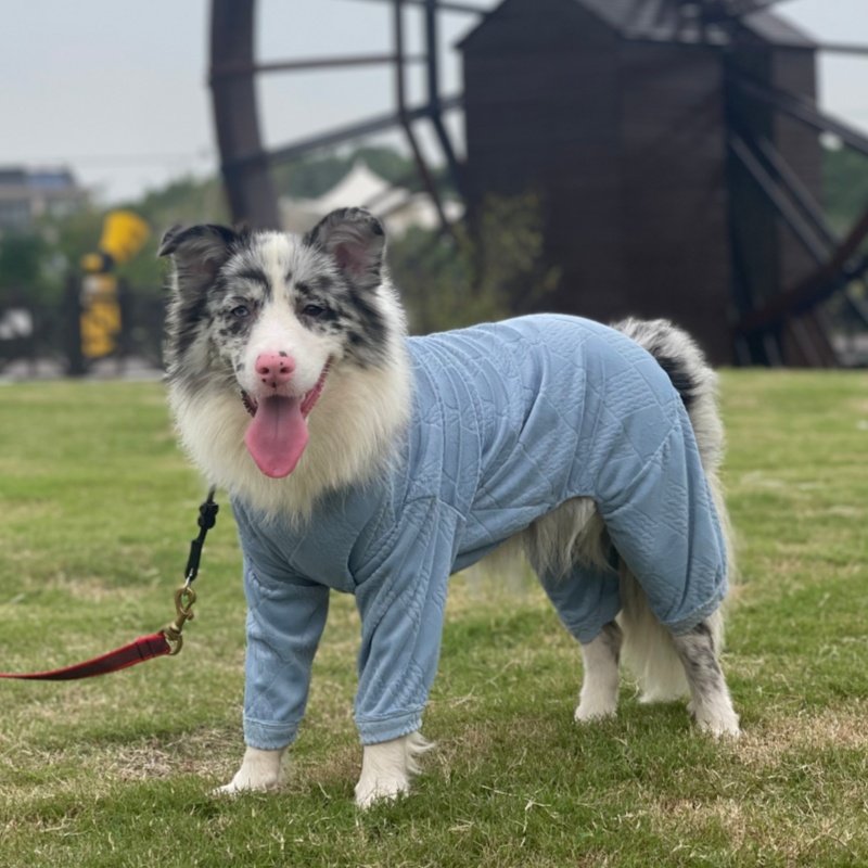 宠物打底衫狗狗衣服秋冬加绒保暖宠物金毛边牧拉布拉多萨摩四脚衣,宠物/宠物食品及用品,狗宠物服装/雨衣,淘宝优惠券,粉丝福利购,淘宝优惠卷