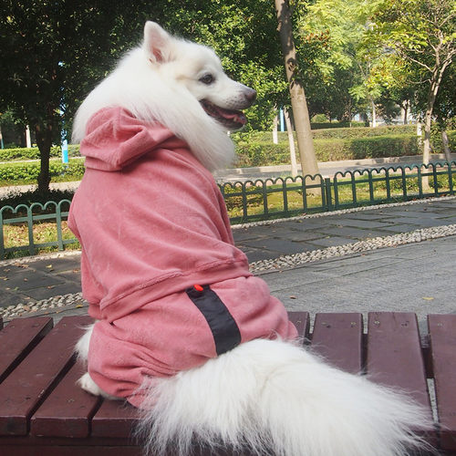 萨摩中大型犬舒适可调节四脚衣