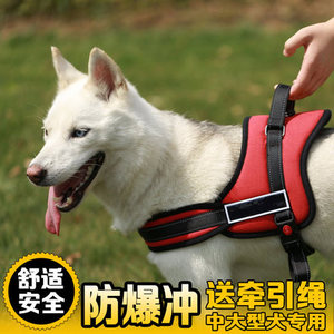 狗狗胸背带牵引绳中大型犬金毛拉布拉多阿拉斯加哈士奇项圈狗链子