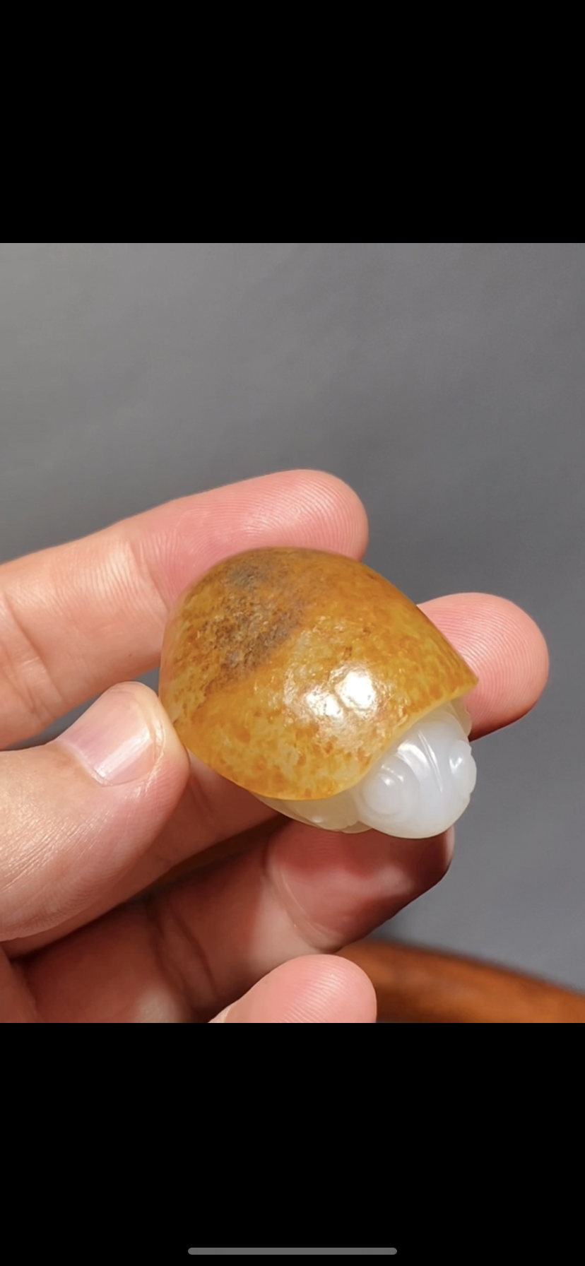 天然精品新疆和田籽料 金皮乌龟 鹰嘴龟42-32-22mm正品带证书老店
