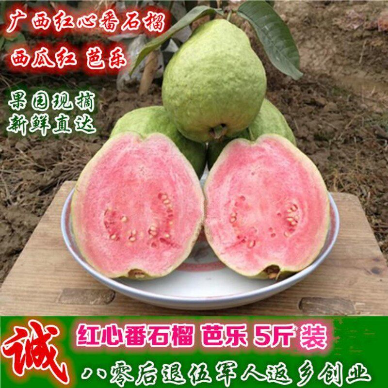 广西红心脆口脆甜芭乐