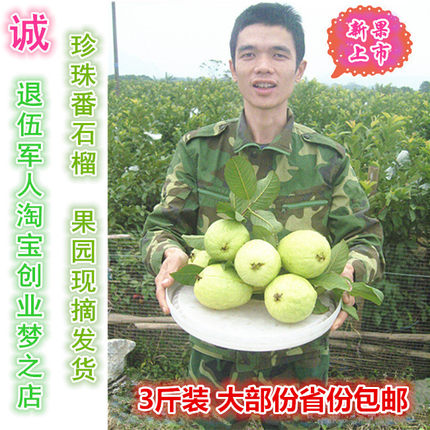 广西现摘脆口番石榴芭乐果珍珠番石榴果园现摘广西新鲜水果3斤5斤