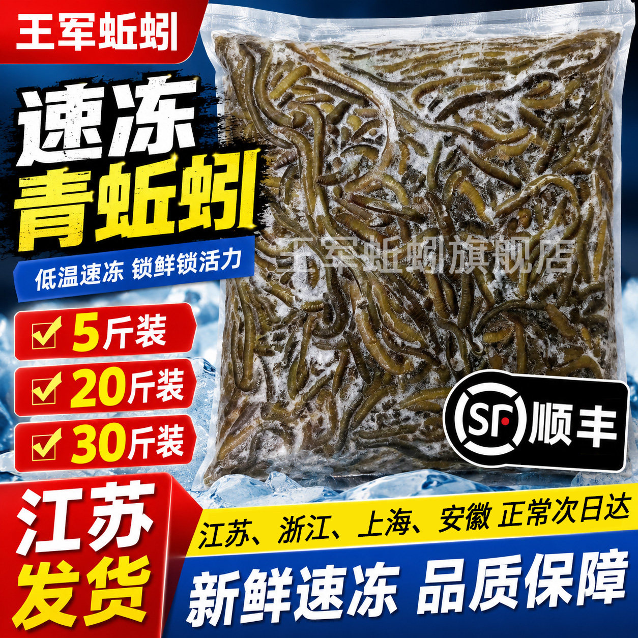 顺丰速冻青蚯蚓冰冻黑蚯蚓冷冻臭蚯蚓下笼子黄鳝饵料养殖王军鱼饵