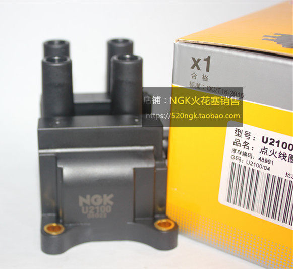 嘉年华翼搏福克斯福睿斯1.5LNGK