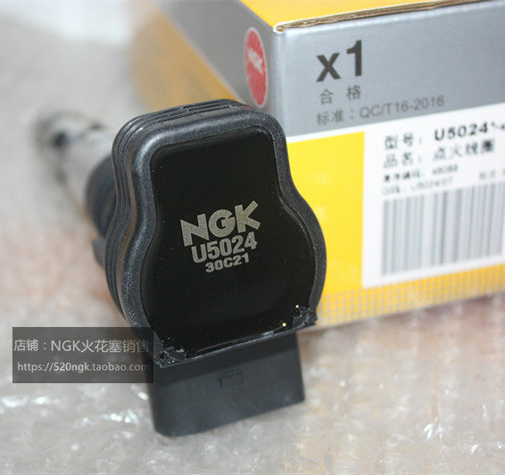 大众辉腾4.2LNGK高压包U5024