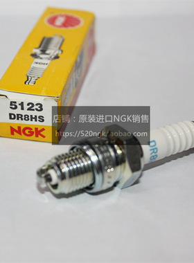 本田船外机B45B75 K BF6B D BF8 BF9适用NGK火花塞DR8HS等同DR5HS
