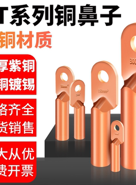 DT铜鼻子接线端子冷压端子