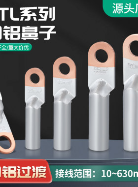 铜铝鼻子国标DTL接线端子