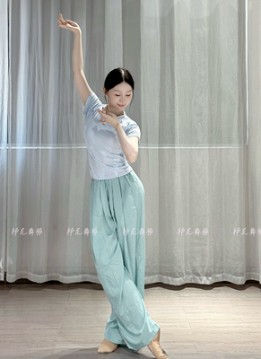 后背镂空舞蹈练功服女修身显瘦形体短袖上衣夏季中国古典舞基训服