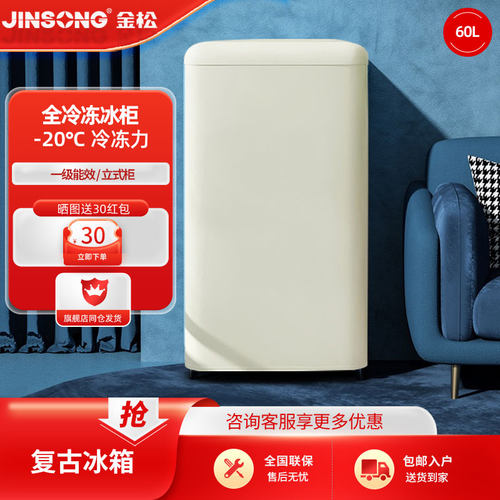 全冷冻小冰箱小冰柜金松母乳储奶