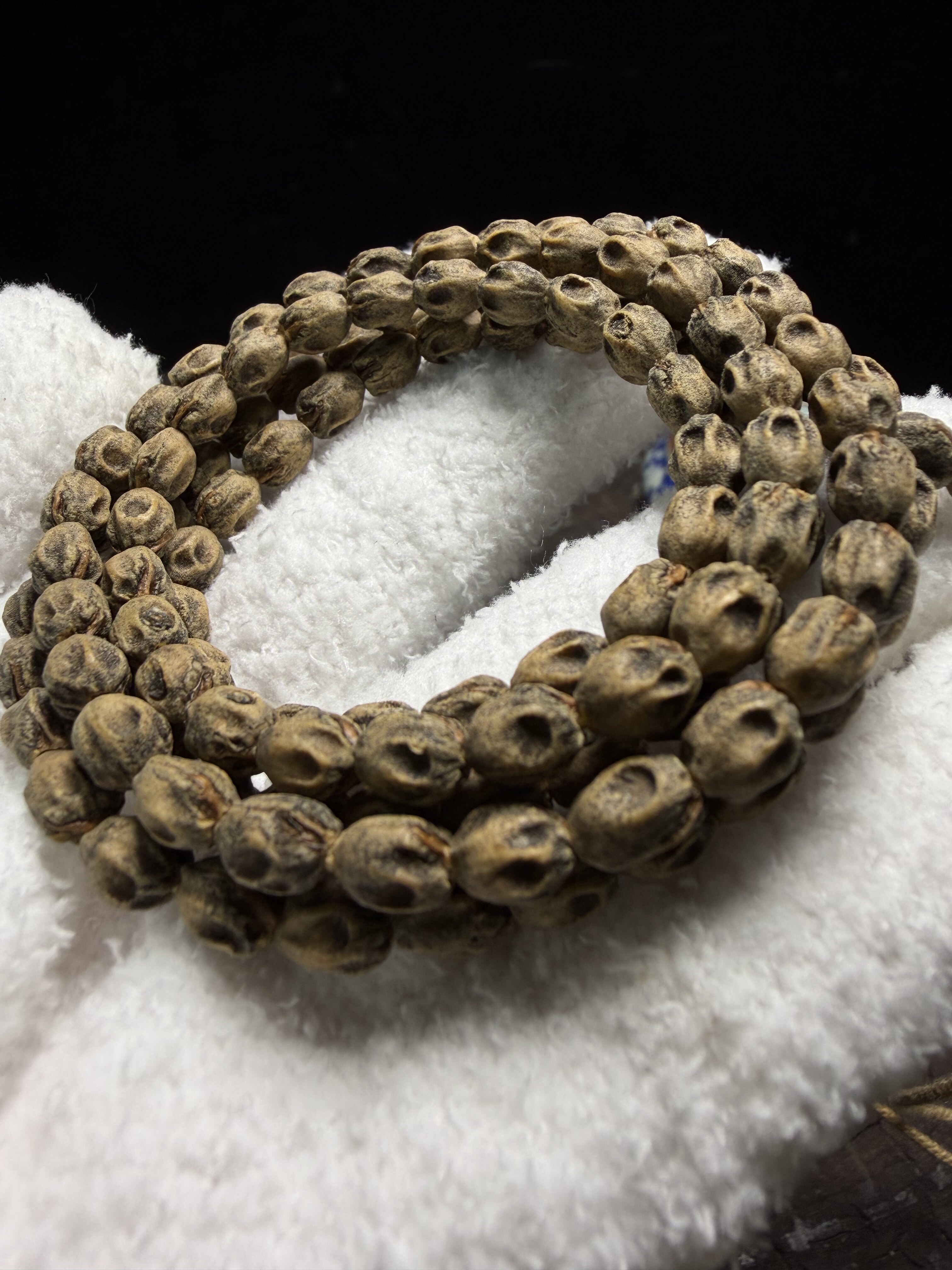 热振百香籽原桩红芽小鬼高桩鬼小长腿满坑小眼睛顺纹尸坨林5m