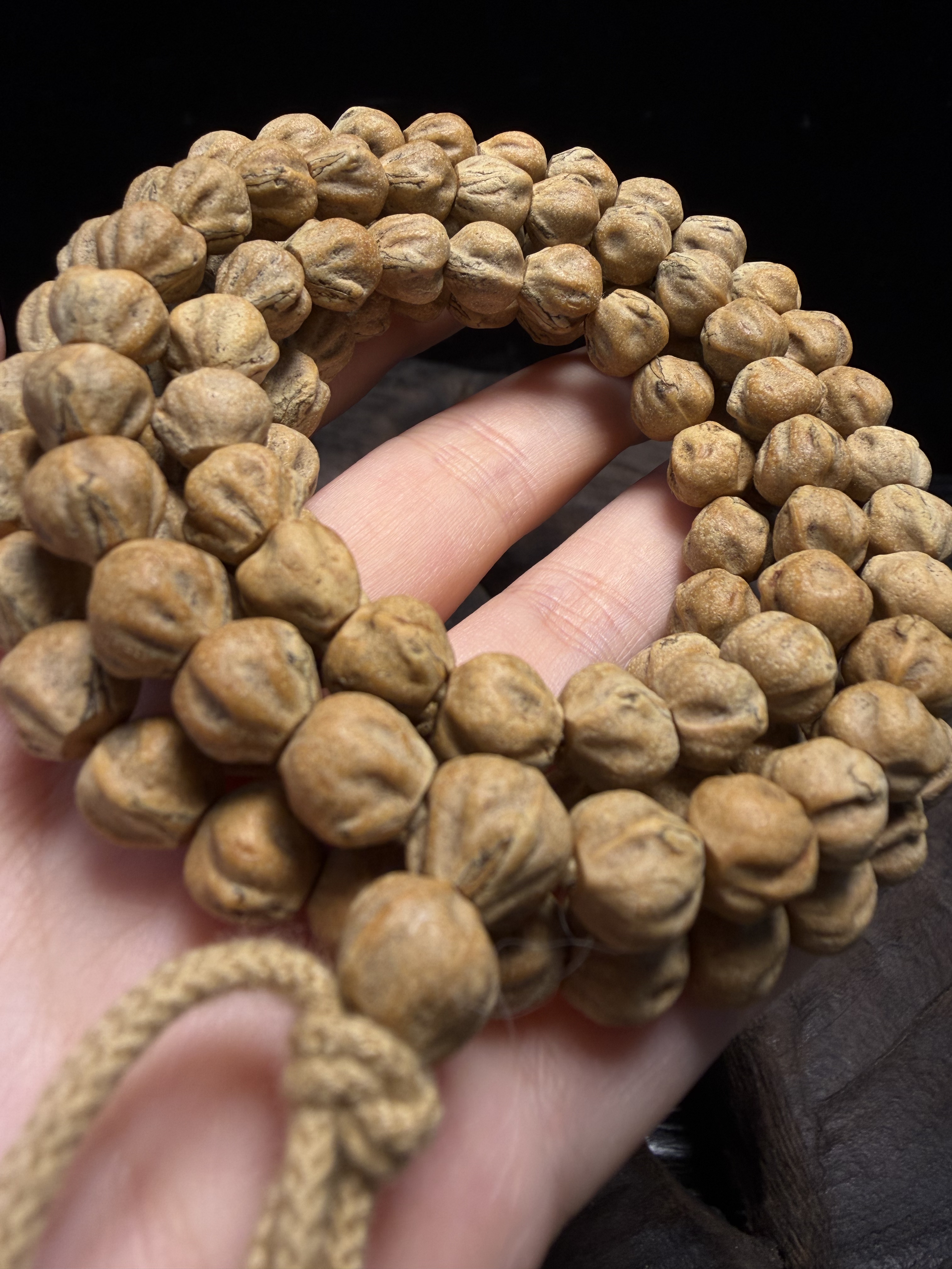 8.5m热振柏香籽红芽红油皮莲花龙脊大尺寸粗棱圆溜老树铁籽微切