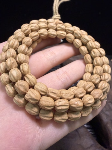 H热振柏香籽原桩小尺寸小长腿高桩白芽粉油皮顺纹新手福利米粒