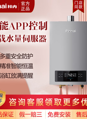 林内燃气热水器水伺服强排式16L
