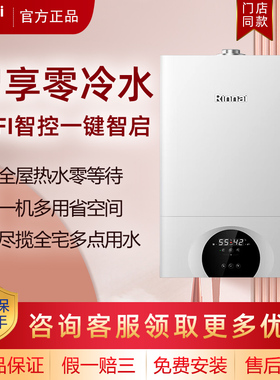 Rinnai/林内 RBS-18C66L/C30/C33壁挂炉采暖热水两用恒温天然气