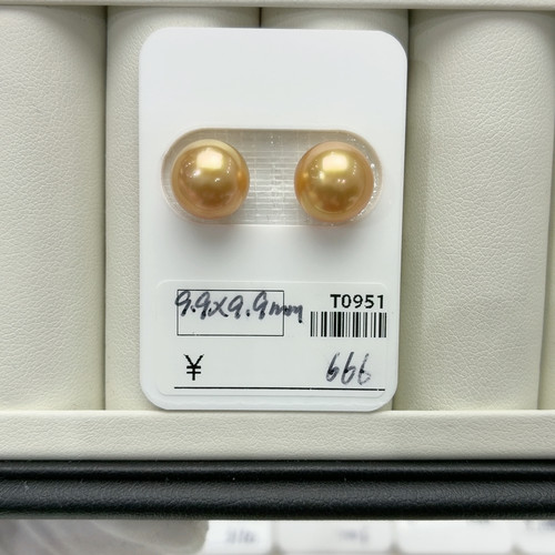 T0951