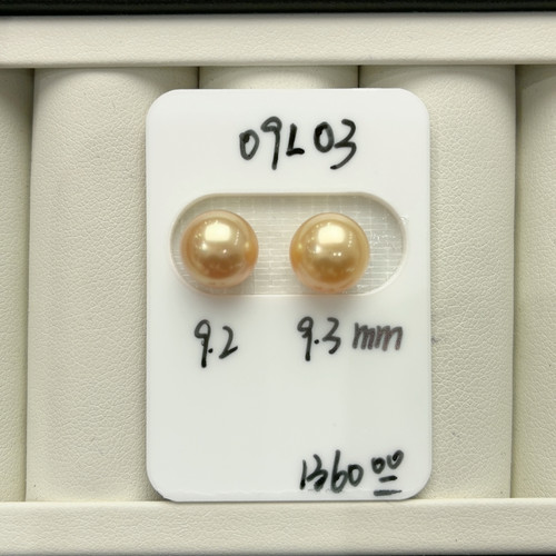 09L03